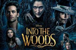 Zgodbe iz hoste (Into the Woods)