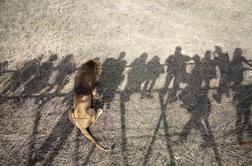 Drznega obiskovalca živalskega vrta v Barceloni hudo ranili levi
