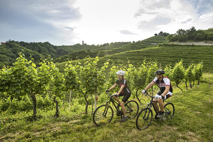 S kolesom lahko raziskujte idilično območje vinogradov v Halozah in v Slovenskih goricah. | Foto: 