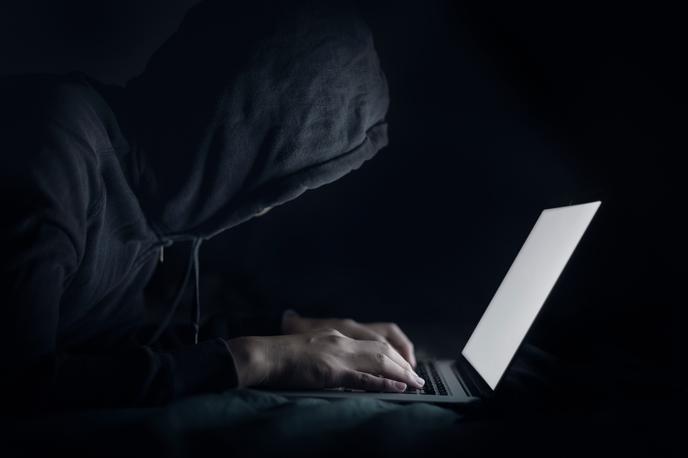 internet, troli, komentarji, heker | Nekateri, večinoma gre za anonimne spletne trole, so po razkritju svoje račune nemudoma izbrisali. | Foto Shutterstock