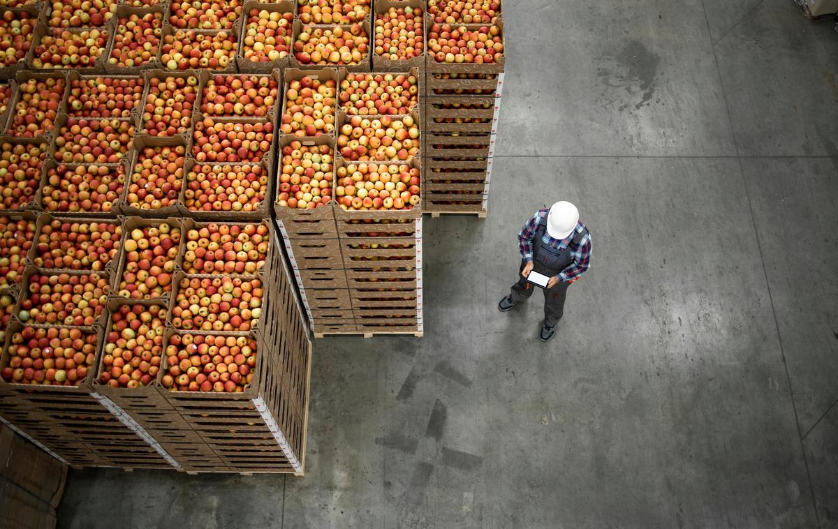 Uvoz in izvoz sadja | EU je tretja največja trgovinska partnerica Nove Zelandije, ki na celino izvaža vina, sadje in meso. | Foto Shutterstock
