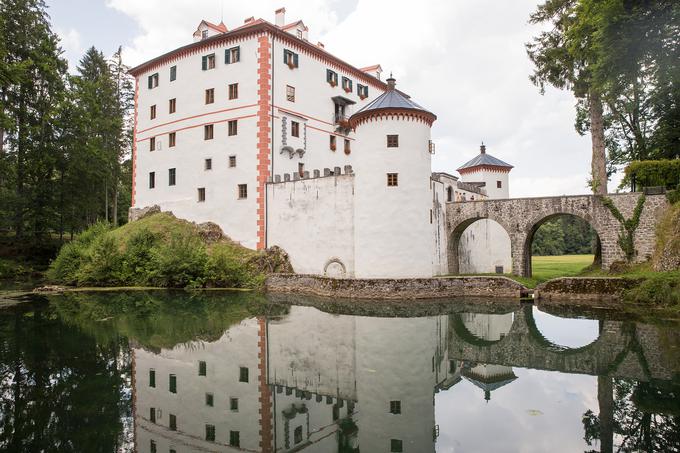 Ob gradu je ribnik z izvirsko vodo, ki dostojanstveno zrcali podobo gradu in kjer so svoj dom našle race mlakarice, kleni in potočne postrvi.  | Foto: Bor Slana