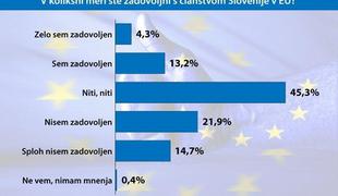 Slovenci nezadovoljni z EU, a bi še vedno glasovali za