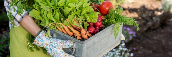 Pridelovalce in predelovalce ekološke hrane strogo nadzorujejo. | Foto: Shutterstock