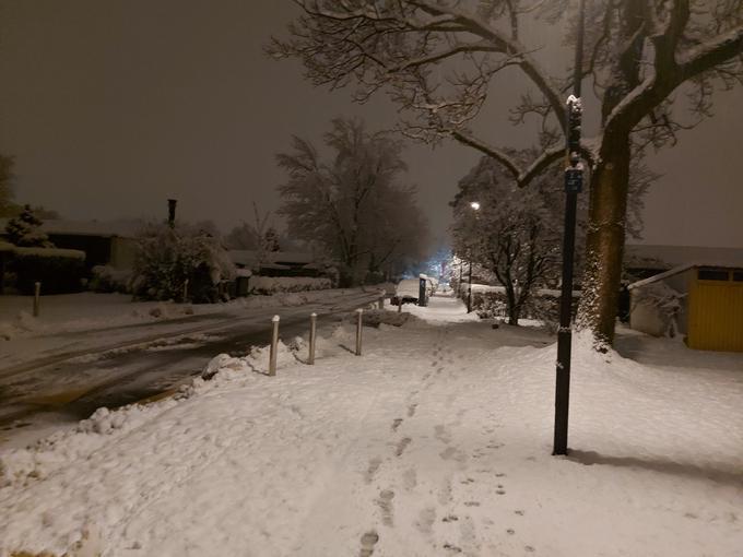 Sneg v Ljubljani | Foto: Boštjan Boh