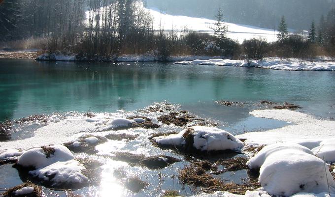 Celo ko zima pokaže svoje zobe, ledeni skorji ne uspe premagati jezerske vode Zelencev. | Foto: Jure Gregorčič