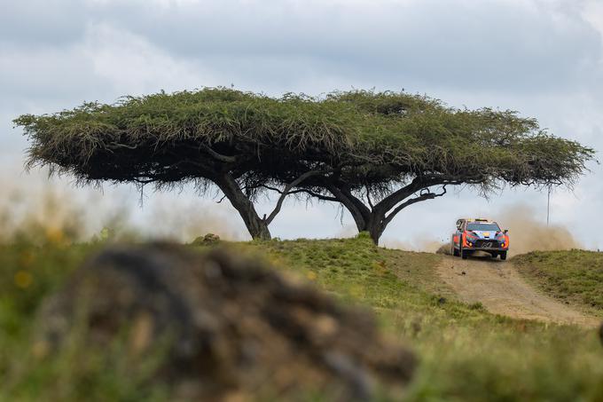 Reli Safari Kenija | Foto: Hyundai