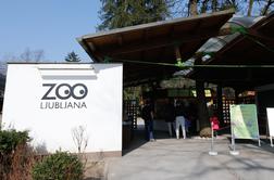 Potrjen primer ptičje gripe v ljubljanskem živalskem vrtu