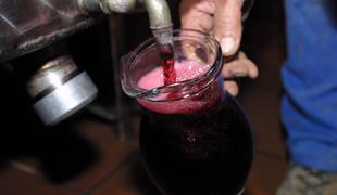 "Ko se napada slovenski teran, se napada vseh 1.750 zaščit vin v EU"