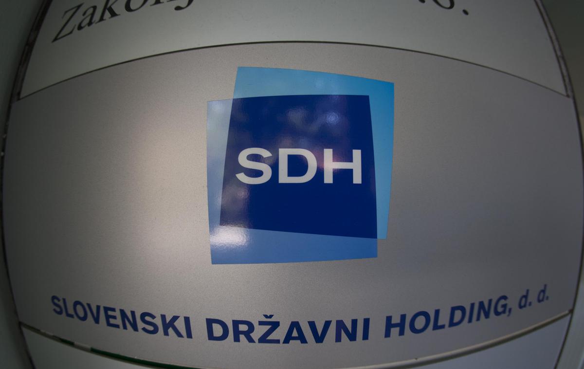 SDH | Plačilo 32 milijonov evrov za slabo polovico podjetja, ki je lani imelo dva milijona dobička, je očitno po mnenje SDH dobra poslovna poteza. | Foto Bojan Puhek