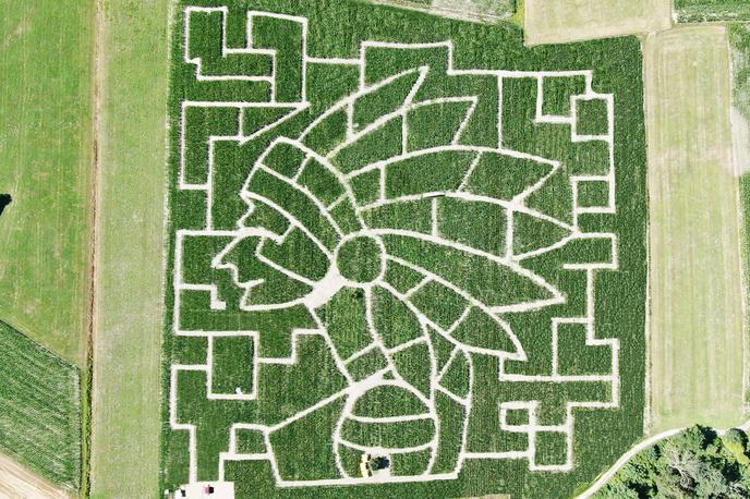 Koruzni labirint v Krtini | Foto Koruzni labirint Krtina