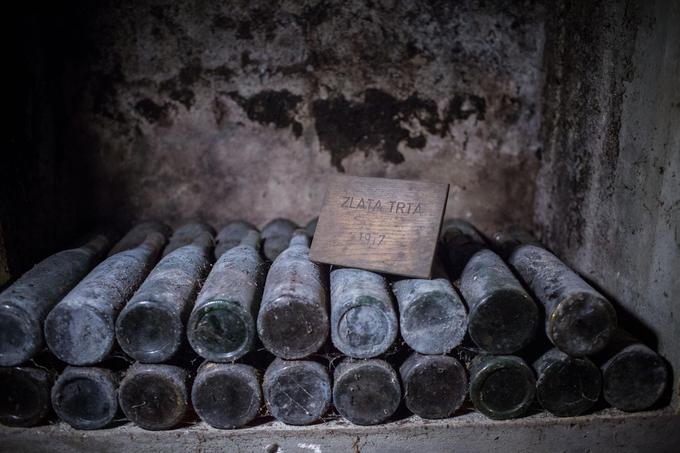 

V Ptujski kleti je najstarejša zbirka vin iz tega dela Evrope. Najstarejše steklenice so iz leta 1917.  | Foto: 