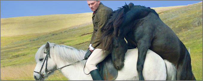 Podeželska romanca o človeškem v konju in konjskem v človeku. Mozaik vinjet o ljubezni in smrti. Usode ljudi skozi oči konjev. Eden najuspešnejših in največkrat nagrajenih islandskih filmov zadnjega desetletja. | Foto: 