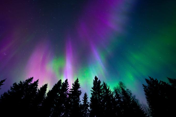 5. novembra 2023 je bil na slovenskem nebu viden severni sij. Severni sij oziroma aurora borealis nastane kot posledica Sončevih geomagnetnih neviht, ko električno nabiti delci magnetosfere (v glavnem elektroni, lahko pa tudi protoni in nekateri težki ioni, npr. kisik in dušik) pridejo v stik z Zemljinim ozračjem in tam reagirajo ter posledično zasvetijo, navajajo na portalu Neurje.si. | Foto: Amadej Krepek, Meteoinfo Slovenija | Foto: Shutterstock