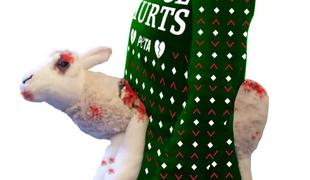 Organizacija PETA šokirala: prodajajo božični pulover z okrvavljeno ovco #video