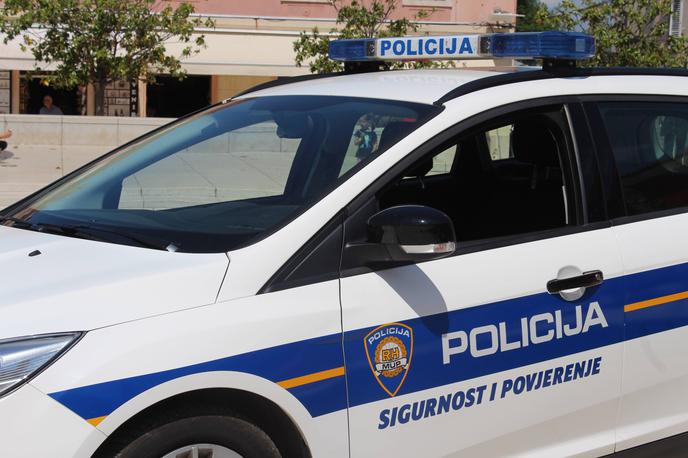 Hrvaška policija | Hrvaški policisti so nekaj pred polnočjo na lokalni cesti pri Veliki Gorici opazili volvo z avstrijsko registracijo in mercedes z madžarsko registracijo, za katera so posumili, da v njiju prevažajo nezakonite migrante. | Foto Guliverimage