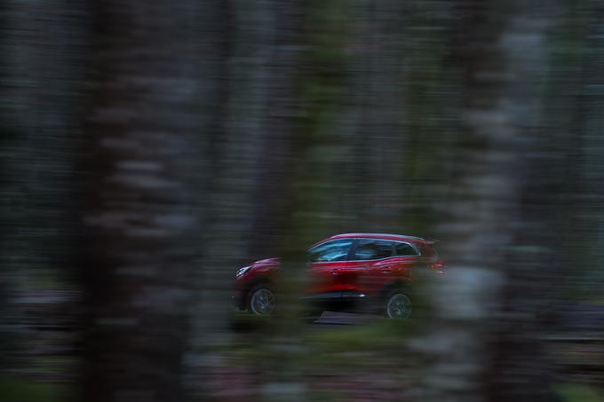 Rdeča puščica v puščobnem gozdu. Prebudila sva jesen. | Foto: Klemen Korenjak