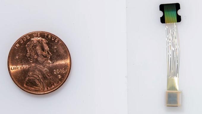 Čip in umetna možganska vlakna v primerjavi s kovancem za en ameriški cent. Posamezno vlakno je približno štirikrat tanjše od človeškega lasu. Elon Musk pravi, da so vlakna velika približno tako kot nevroni. "Če v možgane že tlačiš tujke, potem naj bodo vsaj majhni oziroma naj bodo podobni stvarem, ki so že tam," se je pošalil. | Foto: Neuralink / Posnetek zaslona