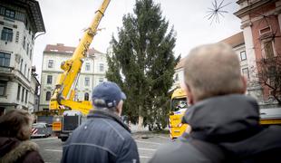Božično-novoletna smreka že stoji na Prešernovem trgu #video #foto
