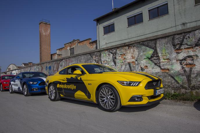 Ford mustang | Foto Ford