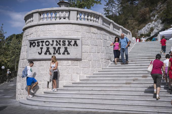 Po besedah prvega moža Postojnske jame Marjana Batagelja je za njimi najboljše poslovno leto v zgodovini. | Foto: Klemen Korenjak