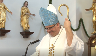 Murskosoboški duhovnik škofa pozval pred cerkveno sodišče #video
