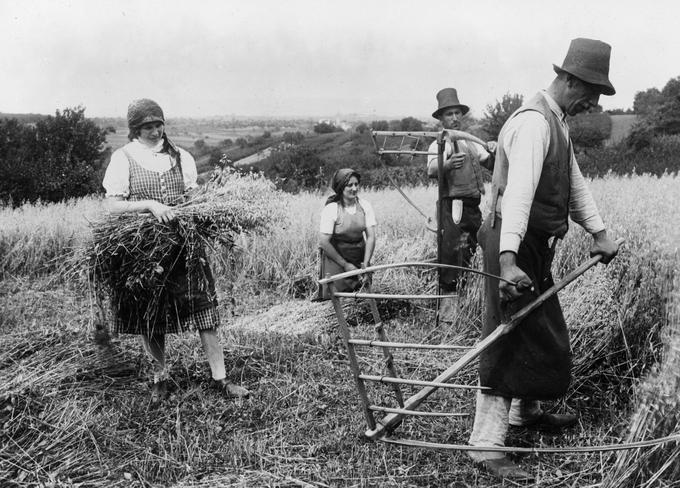 Pred industrializacijo se je velika večina evropskega, torej tudi slovenskega prebivalstva preživljala s kmetijstvom. | Foto: Getty Images