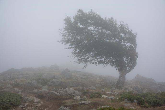 Neurje, veter, nevihta | Po napovedih vremenoslovcev bodo v delih Velike Britanije pihali vetrovi s hitrostjo med 100 in 130 kilometrov na uro. | Foto Shutterstock