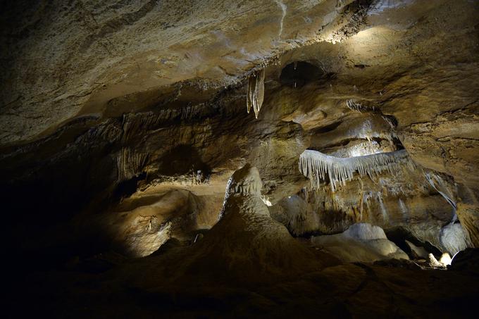 Zlaty kůn (Zlatý kůň) je ime hriba, pod katerim so jame, ki jim Čehi po bližnjem kraju Kůneprusy pravijo kůnepruške jame (Koněpruské jeskyně). To apnenčasto območje so imenuje tudi češki kras. V bližini hriba Zlaty kůn je tudi hrib Kobyla oziroma Kobila po slovensko. V jamah so poleg več kot 45 tisoč let stare lobanje našli tudi kamnito orodje in okostja v Evropi že zdavnaj izumrlih živali, kot so hijene in opice, ali po vsem svetu izumrlih živali, kot so sabljasti tigri in mastodoni. Najdbe izvirajo iz različnih časovnih obdobij. | Foto: Guliverimage/Vladimir Fedorenko