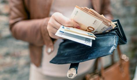 Slovenija bi lahko vsakemu državljanu na mesec izplačala 300 evrov #video