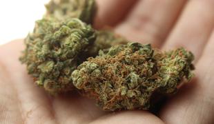 Francozi v slovenskem tovornjaku odkrili 140 kilogramov marihuane