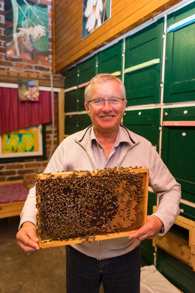 Herman Kisilak Čebelji gradič med čebele kmetija turizem Prekmurje Rogašovci | Foto: Matjaž Vertuš