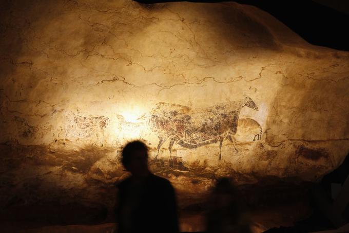 V sistemu votlin Lascaux, ki ga je pred več kot 70 leti odkril francoski deček, so raziskovalci našli precej stenskih poslikav paleolitskih praljudi, ki so bile stare skoraj 20 tisoč let. Votline so francoske oblasti odprle za obiskovalce, a to nemudoma obžalovale, saj sta vanje skupaj z ljudmi začela prodirati tudi ogljikov dioksid in vlaga ter uničevati poslikave. Votline so za javnost zaprli leta 1963, a škoda je že bila narejena, na stenah so se začele nabirali glivice in plesen. | Foto: Reuters