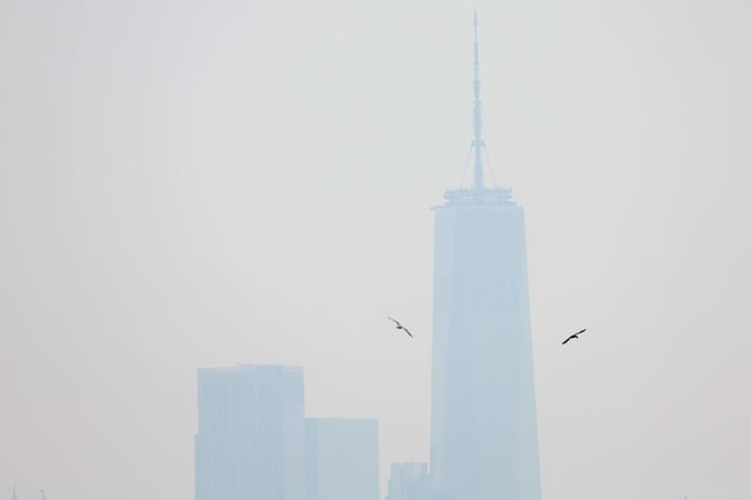 Časnik New York Times je v torek pozno zvečer poročal, da je nebo nad New Yorkom prekril dim. | Foto: Reuters