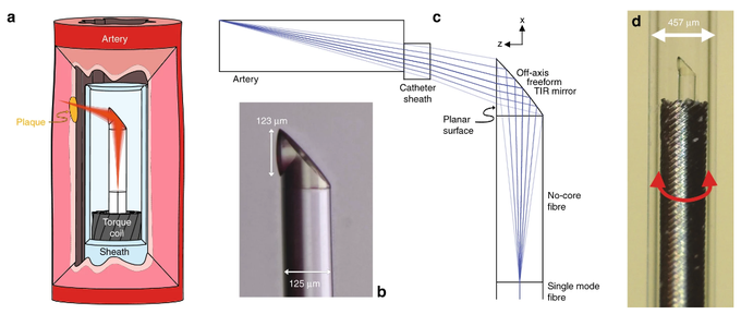 Struktura nove naprave za snemanje razmer v žilah, a tudi v drugih ozkih in težko dostopnih delih telesa | Foto: University of Adelaide