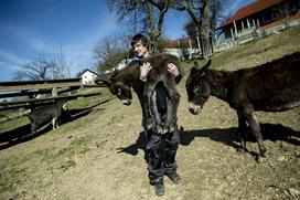 Kmetija pr' Jernej Jože Česen Gradišče koza koze osel kokoš ekološko kozje mleko