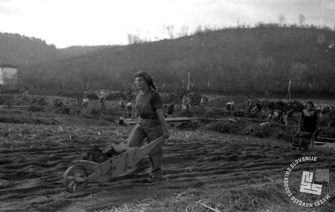 Na gradbišču Nove Gorice, 10. april 1948.  | Foto: Foto: Jožica Jeraj, hrani: Muzej novejše zgodovine Slovenije.