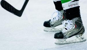 Američan Berry okrepil ljubljanske hokejiste