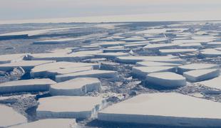 Antarktika izgublja šestkrat več ledu kot pred 40 leti