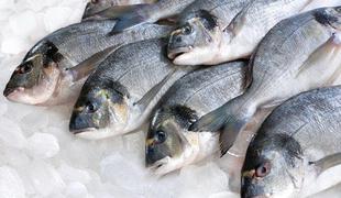 Obrok z ocvrto ribo v testu razglašen za najslabšega v ZDA