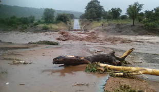 Ciklon v Mozambiku in Zimbabveju terjal prek 150 mrtvih