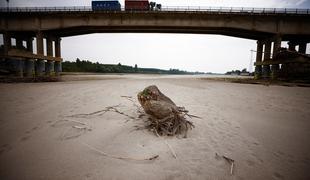 Deli Evrope se soočajo z najhujšo sušo v zadnjih tisoč letih