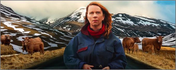 Islandski režiser zmagovalnega filma 26. Liffa Grímur Hákonarson (Ovna) se je na festival vrnil z navdihujočo zgodbo o pogumni ovdoveli kmetovalki, ki se postavi po robu izkoriščevalski lokalni zadrugi. | Foto: 