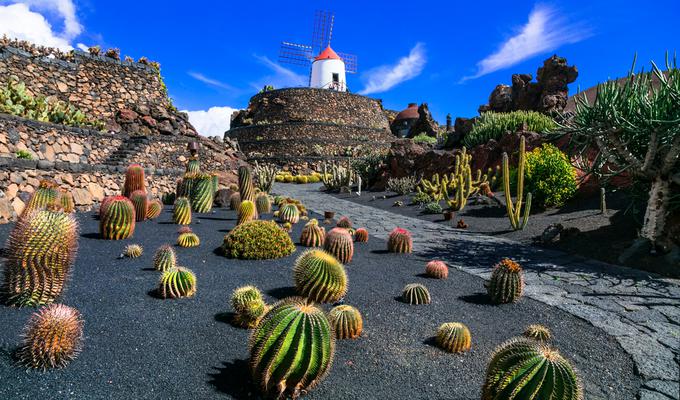 Lanzarote island - Botanical cactus garden, | Foto: Počitnice.si