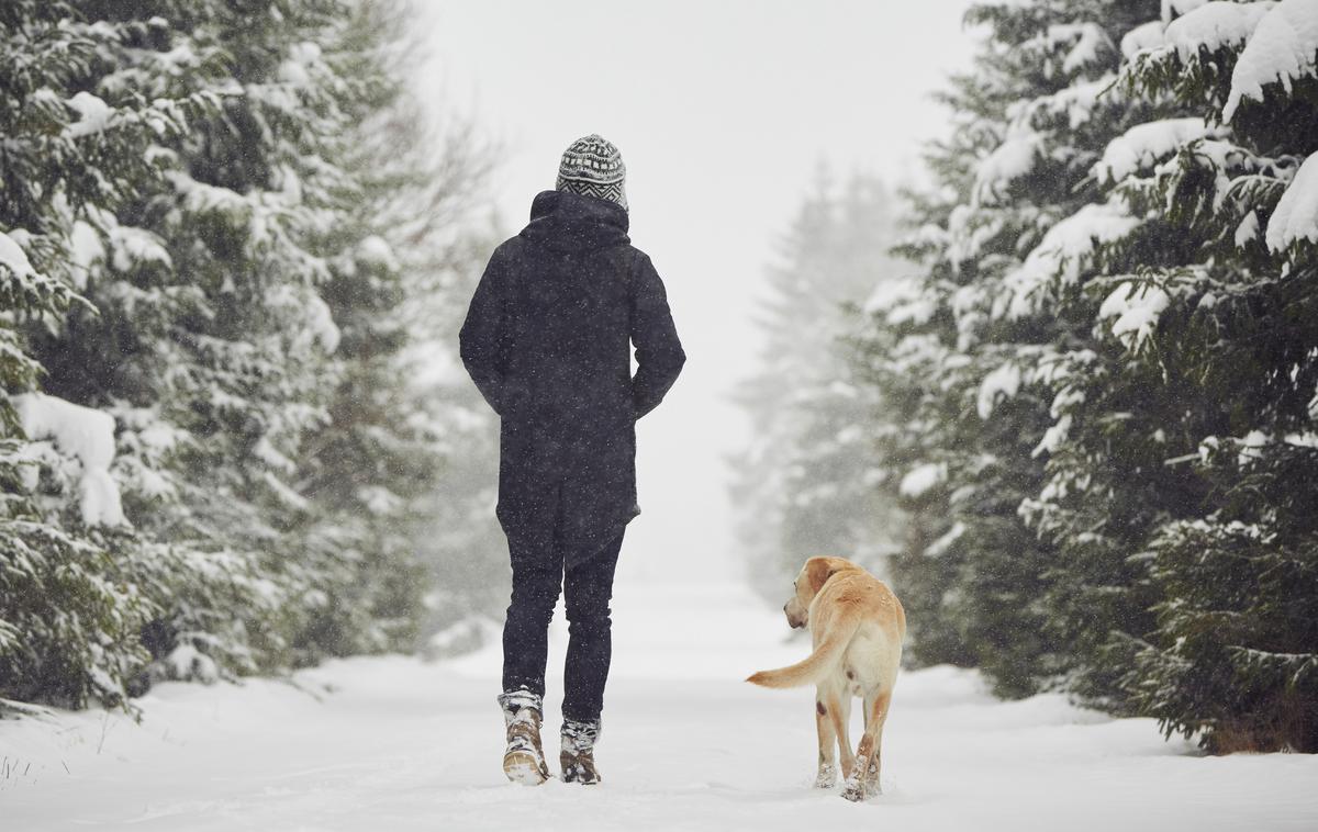 hoja sprehod sneg | Foto Thinkstock