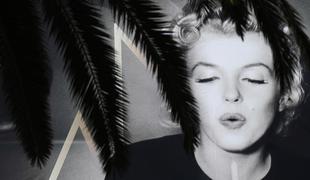 Zbirka pisem Marilyn Monroe na dražbi za 800 tisoč evrov