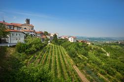 Nova svetovna priznanja za vina iz Goriških brd in Haloz