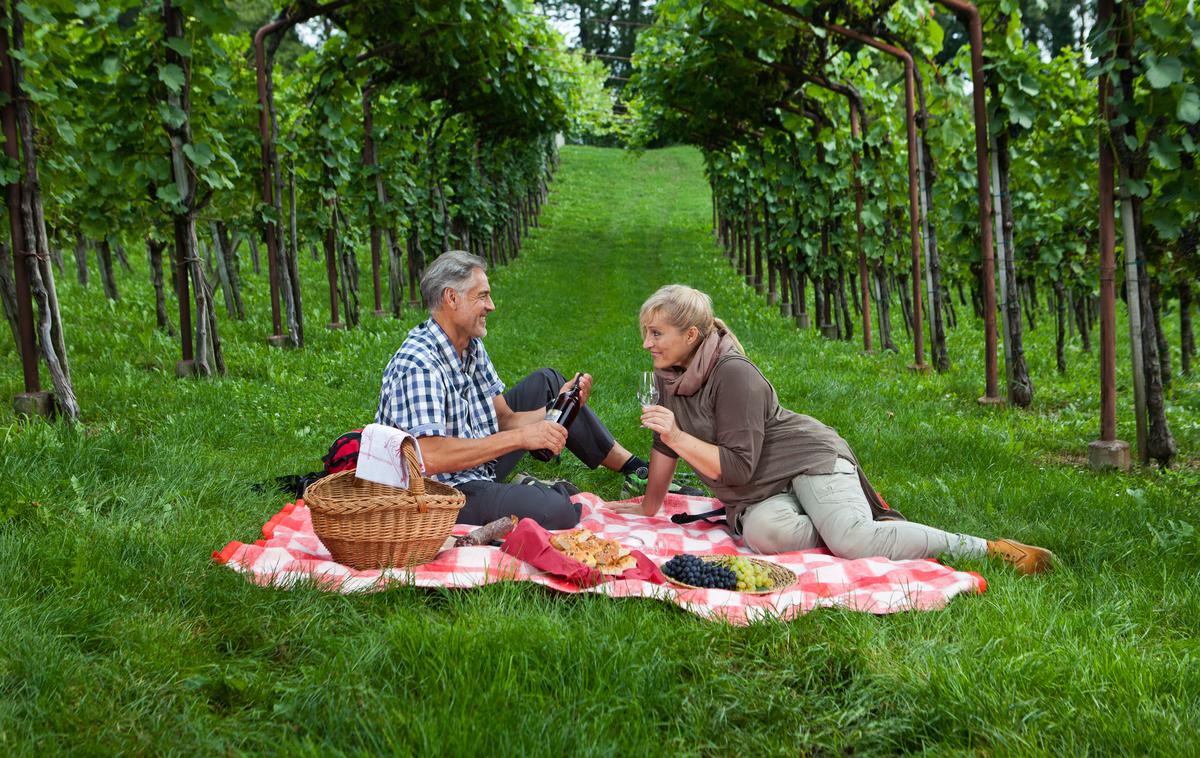 Visit Dolenjska | Piknik na podeželju, vinograd  Foto: Jošt Gantar