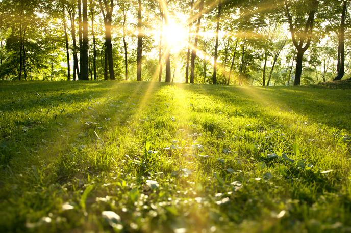 Pomlad, sonce | V torek, sredo in četrtek bo precej jasno z nekaj jutranje megle po nižinah. | Foto Shutterstock