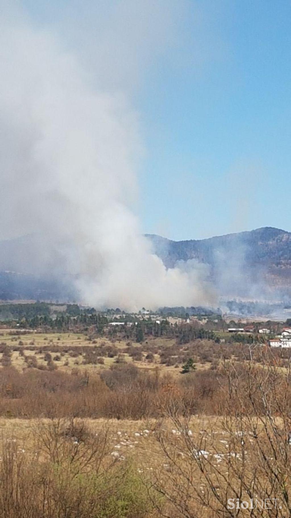 Pivka, požar